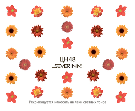 Наклейки для ногтей серия «Фэнтази Арт» (переводные) № 48