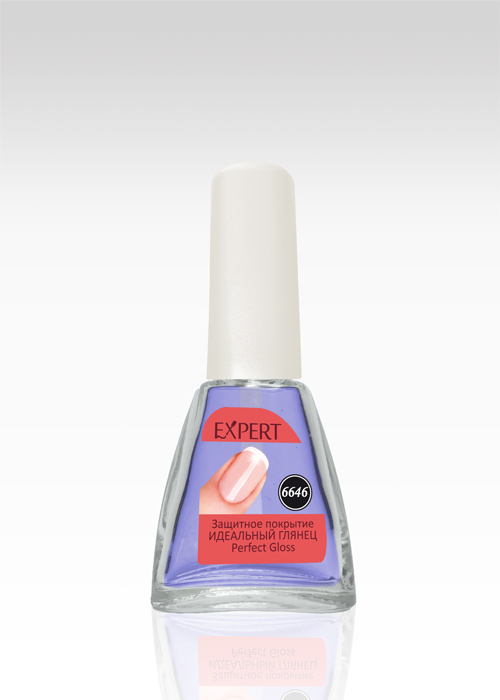 6646 - Защитное покрытие идеальный глянец Perfect Gloss